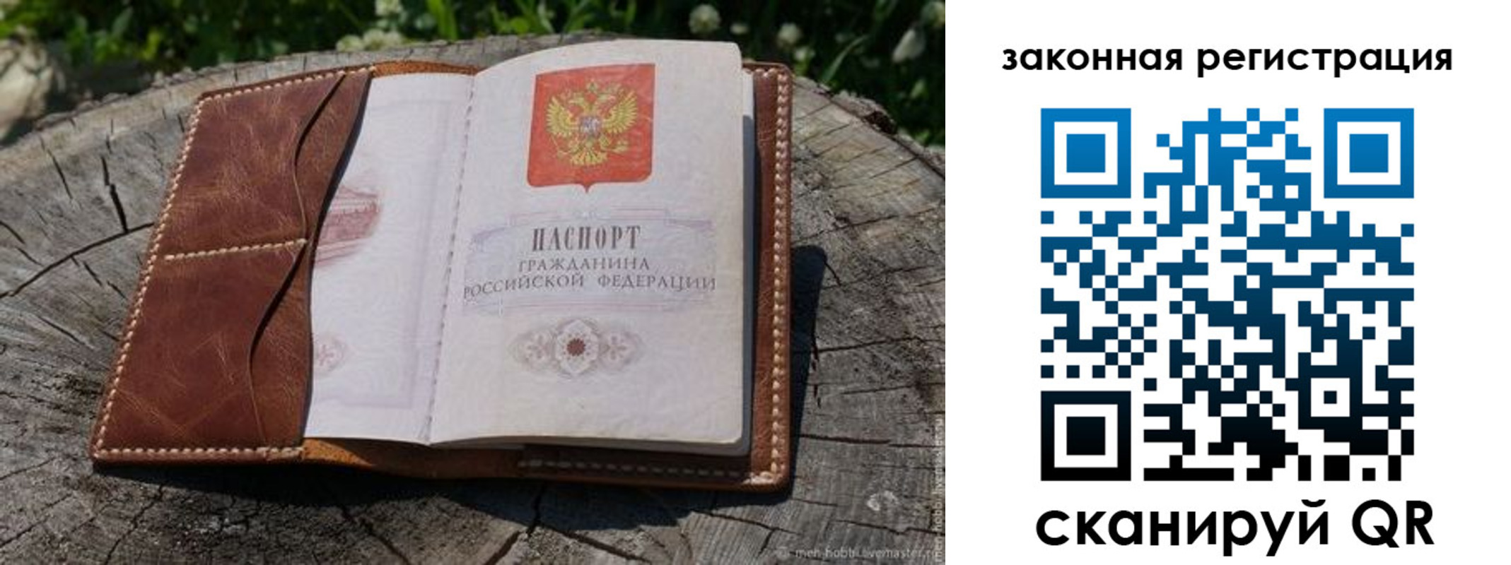 прописка в Сальске